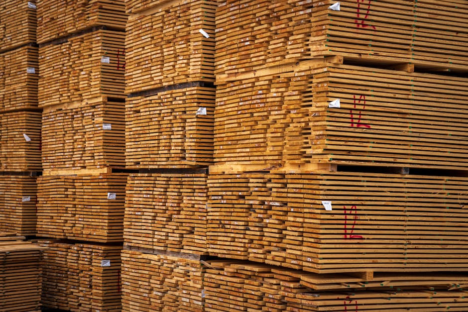 Les matériaux biosourcés dans la construction : un marché en plein essor