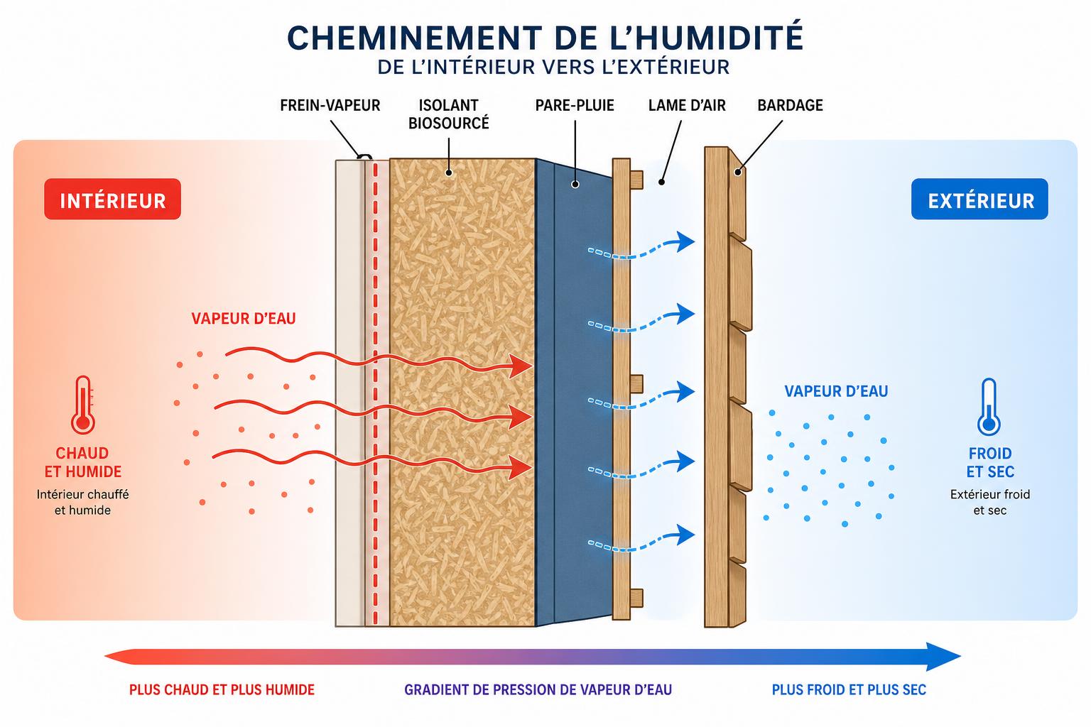 Cheminement de l’humidité intérieur vers l’extérieur montrant isolation et pare-vapeur pour une façade, avec les couches et flux d’eau vapeur. isolation ecologique exterieure est présente dans la description.