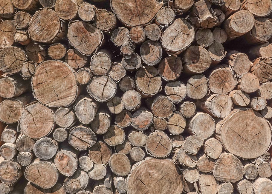 Vue détaillée d'une pile de bûches soigneusement empilées, montrant la texture naturelle du bois.